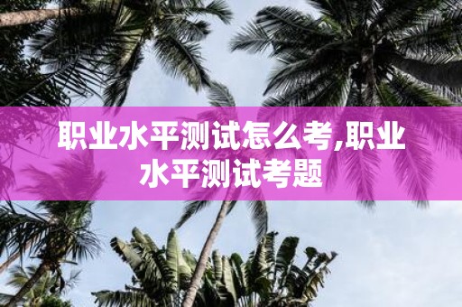 职业水平测试怎么考,职业水平测试考题