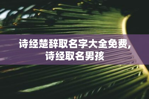 诗经楚辞取名字大全免费,诗经取名男孩