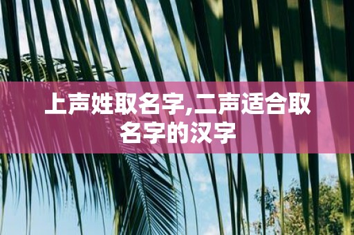上声姓取名字,二声适合取名字的汉字