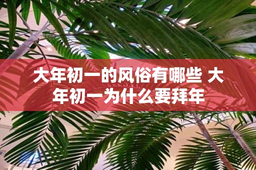 大年初一的风俗有哪些 大年初一为什么要拜年