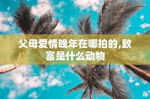父母爱情晚年在哪拍的,致富是什么动物