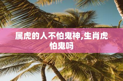 属虎的人不怕鬼神,生肖虎怕鬼吗