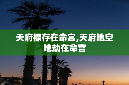 天府禄存在命宫,天府地空地劫在命宫