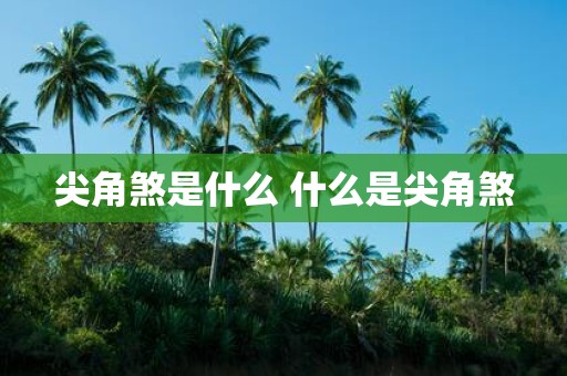 尖角煞是什么 什么是尖角煞