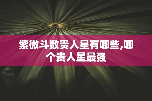 紫微斗数贵人星有哪些,哪个贵人星最强