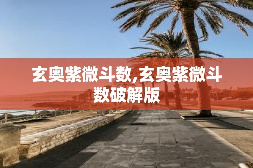 玄奥紫微斗数,玄奥紫微斗数破解版