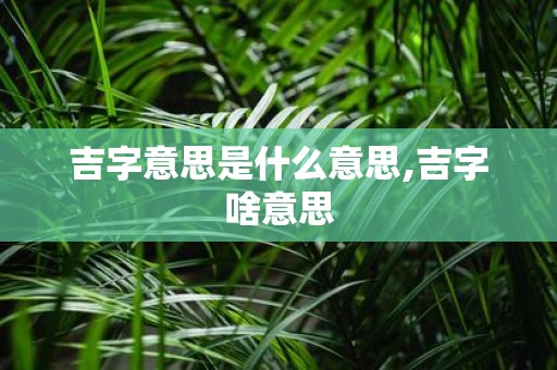 吉字意思是什么意思,吉字啥意思