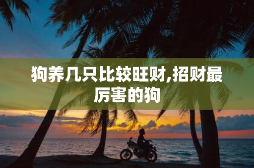 狗养几只比较旺财,招财最厉害的狗