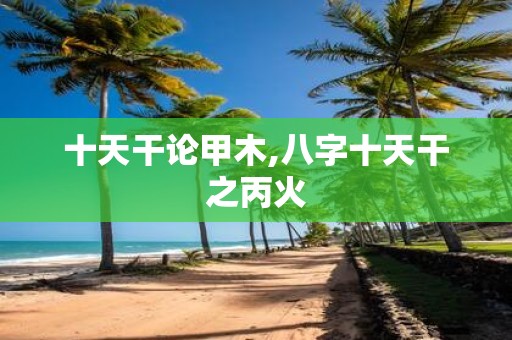 十天干论甲木,八字十天干之丙火
