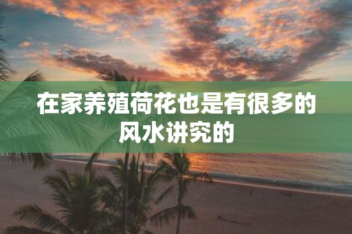 在家养殖荷花也是有很多的风水讲究的