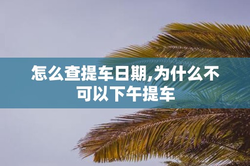 怎么查提车日期,为什么不可以下午提车