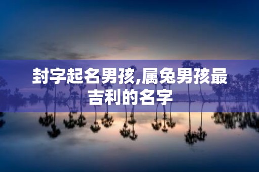 封字起名男孩,属兔男孩最吉利的名字