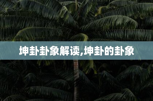 坤卦卦象解读,坤卦的卦象