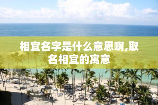 相宜名字是什么意思啊,取名相宜的寓意