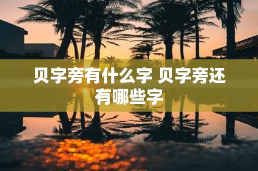 贝字旁有什么字 贝字旁还有哪些字