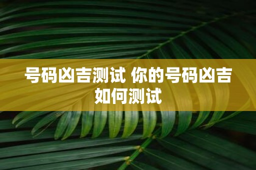 号码凶吉测试 你的号码凶吉如何测试