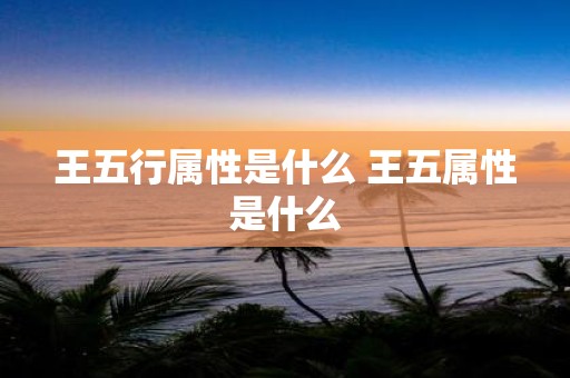 王五行属性是什么 王五属性是什么
