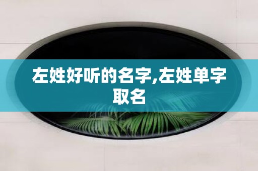 左姓好听的名字,左姓单字取名