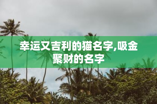 幸运又吉利的猫名字,吸金聚财的名字