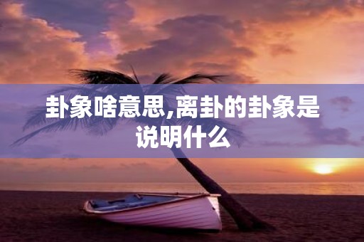 卦象啥意思,离卦的卦象是说明什么