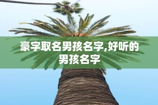 豪字取名男孩名字,好听的男孩名字