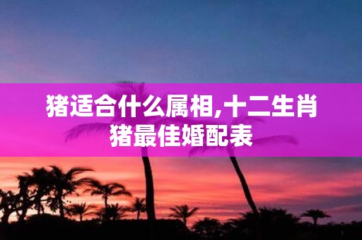 猪适合什么属相,十二生肖猪最佳婚配表