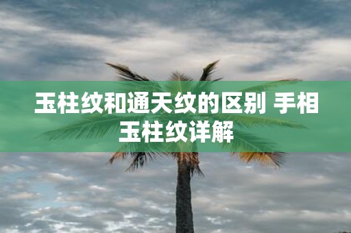 玉柱纹和通天纹的区别 手相玉柱纹详解