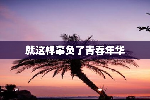 就这样辜负了青春年华