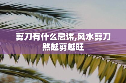 剪刀有什么忌讳,风水剪刀煞越剪越旺