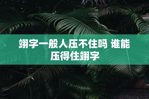 翊字一般人压不住吗 谁能压得住翊字