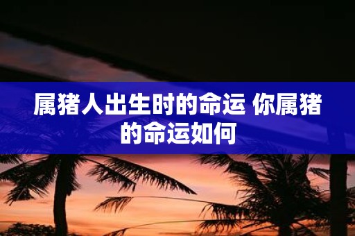 属猪人出生时的命运 你属猪的命运如何