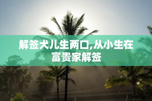 解签犬儿生两口,从小生在富贵家解签
