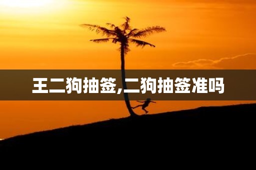 王二狗抽签,二狗抽签准吗