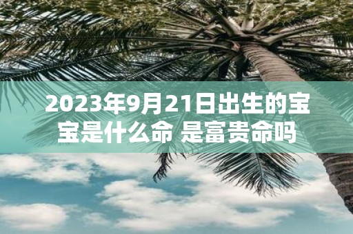 2025年9月21日出生的宝宝是什么命 是富贵命吗
