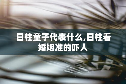 日柱童子代表什么,日柱看婚姻准的吓人