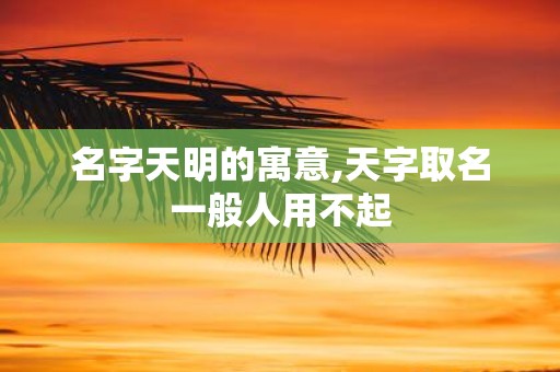 名字天明的寓意,天字取名一般人用不起
