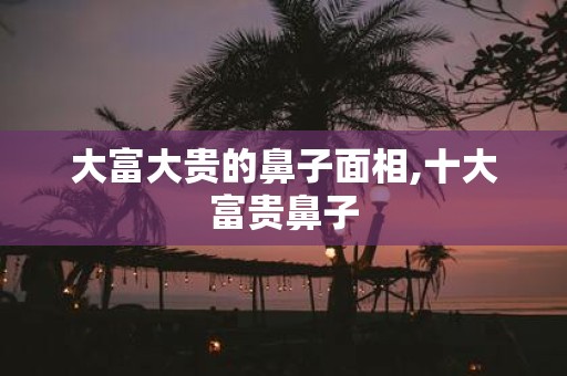 大富大贵的鼻子面相,十大富贵鼻子