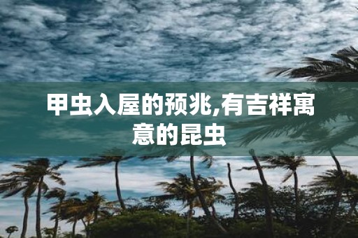 甲虫入屋的预兆,有吉祥寓意的昆虫