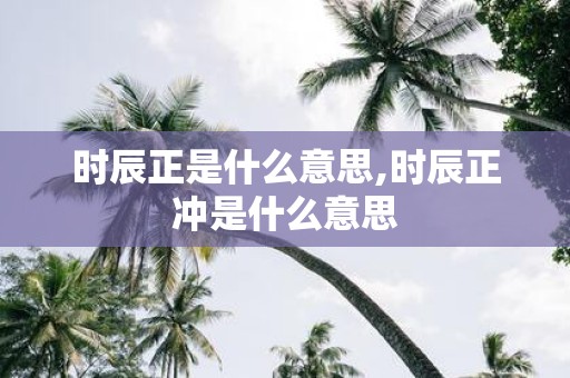时辰正是什么意思,时辰正冲是什么意思