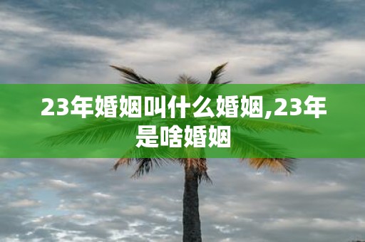 23年婚姻叫什么婚姻,23年是啥婚姻