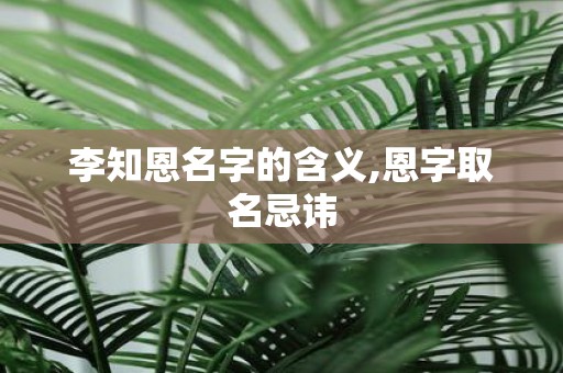 李知恩名字的含义,恩字取名忌讳