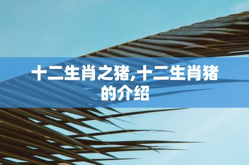 十二生肖之猪,十二生肖猪的介绍