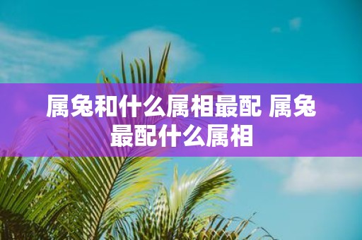 属兔和什么属相最配 属兔最配什么属相