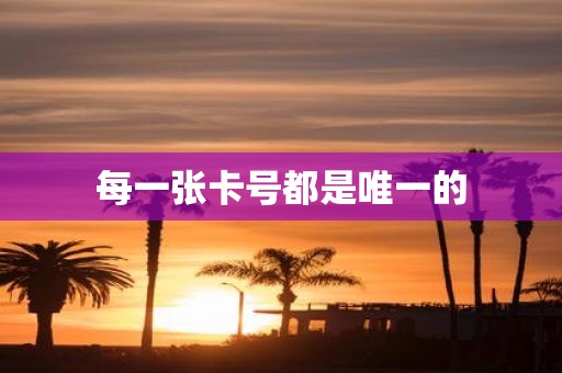 每一张卡号都是唯一的