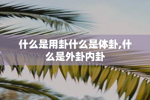 什么是用卦什么是体卦,什么是外卦内卦