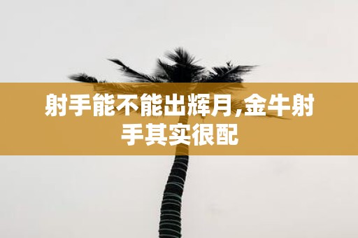 射手能不能出辉月,金牛射手其实很配