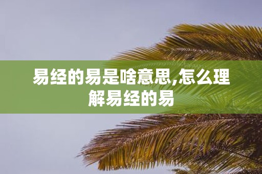 易经的易是啥意思,怎么理解易经的易