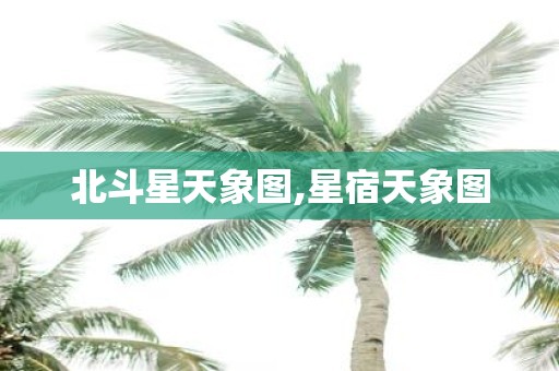 北斗星天象图,星宿天象图