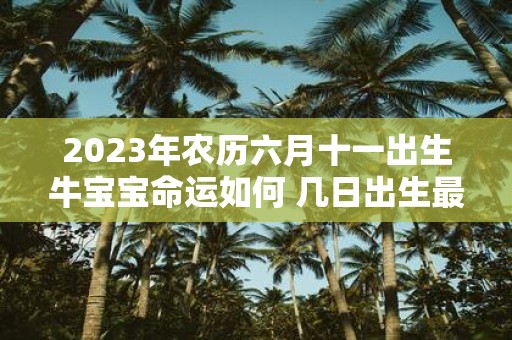 2025年农历六月十一出生牛宝宝命运如何 几日出生最好