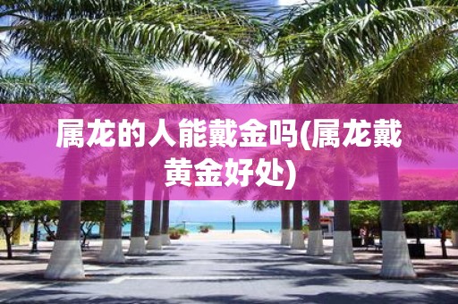 属龙的人能戴金吗(属龙戴黄金好处)